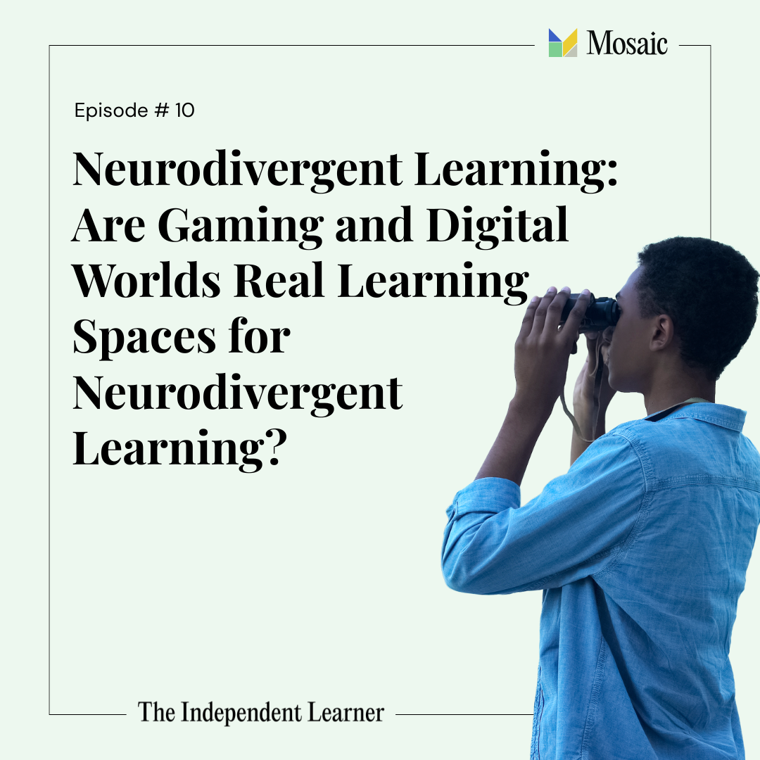 Neurodivergent Learning: Are Gaming and Digital Worlds Real Learning Spaces for Neurodivergent Learning? episode artwork