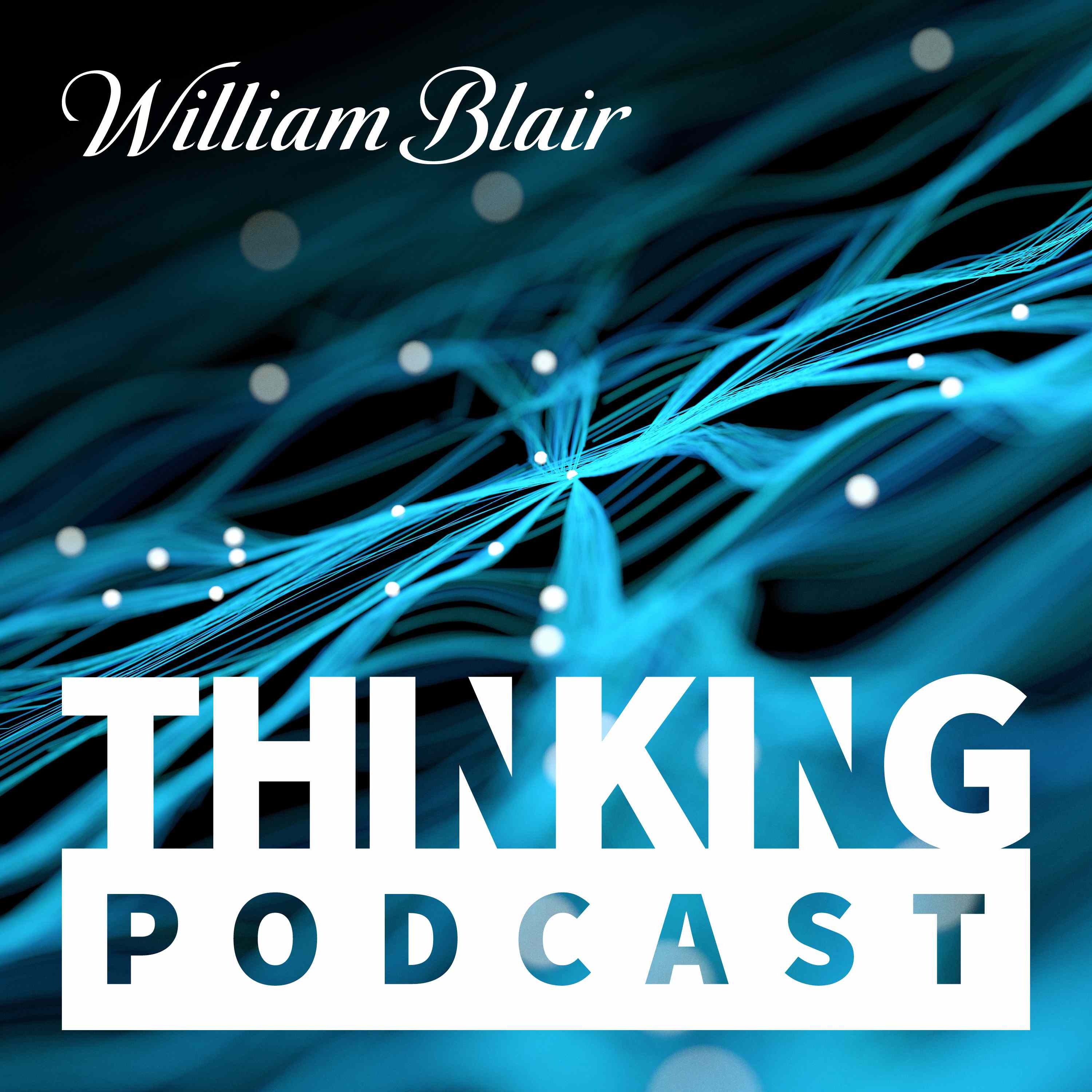 Artificial Intelligence in Information Services: Evaluating the Ramifications of a New AI Paradigm episode artwork