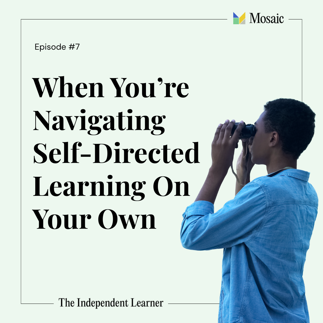 When You're Navigating Self-Directed Learning On Your Own episode artwork