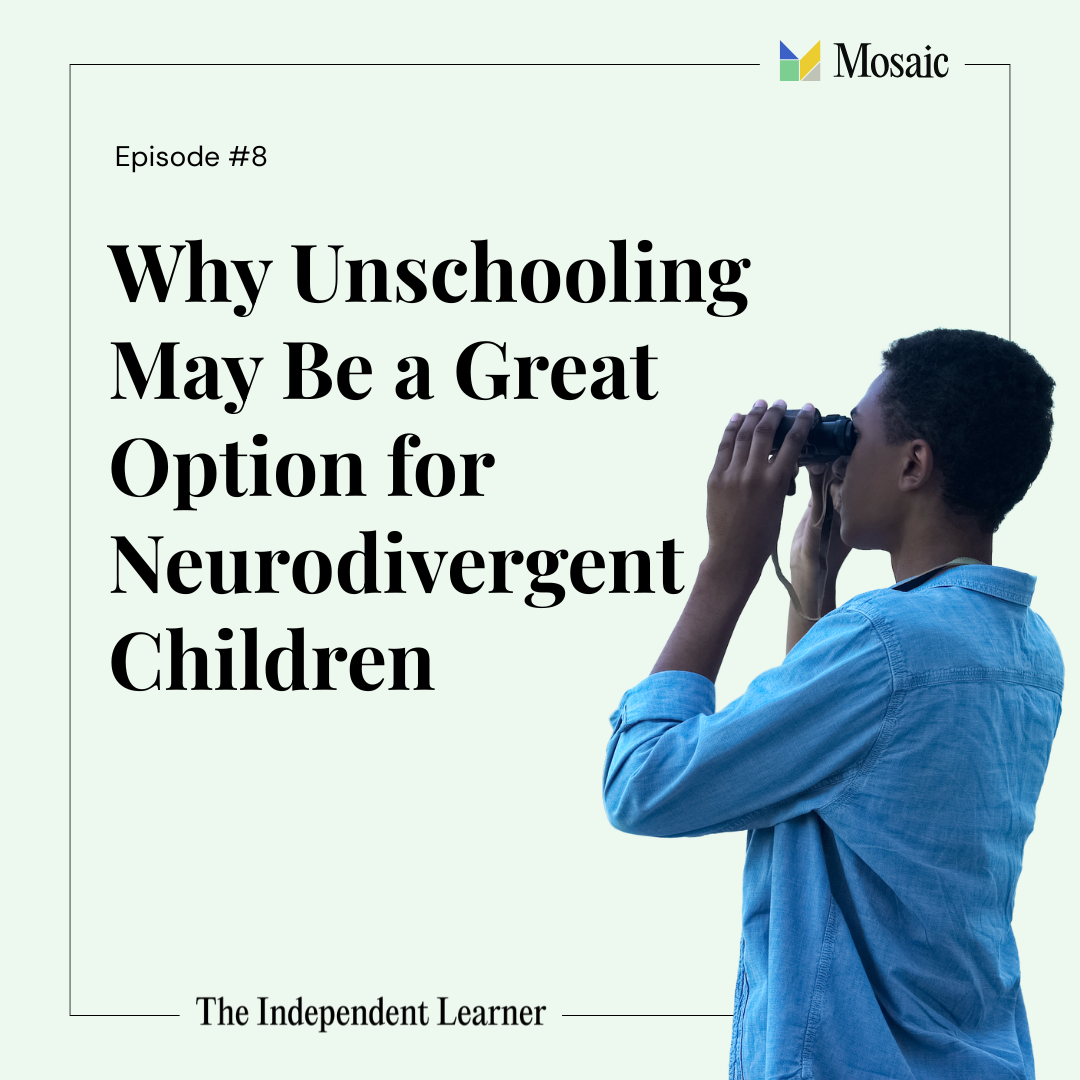 Why Unschooling May Be a Great Option for Neurodivergent Children episode artwork